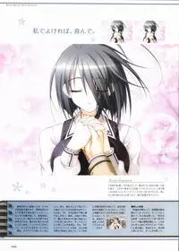 Sakura Sakura Visual Fan Book