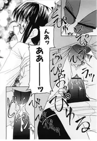 [Iwama Yoshiki] Cherry Blossom