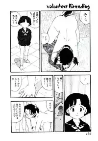 [Kaimeiji Yu] Volunteer Breeding