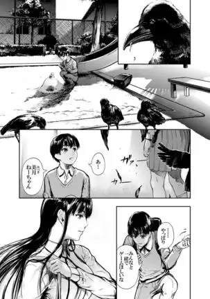 Kamen no Carnation 1-4