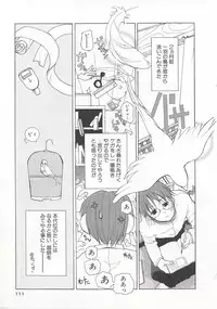 [Mizushima Sorahiko] Wild Strawberry