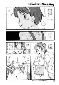 [Kaimeiji Yu] Volunteer Breeding