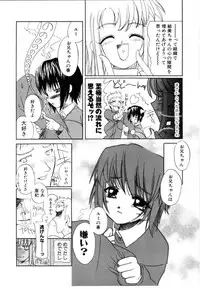 [Iwama Yoshiki] Cherry Blossom