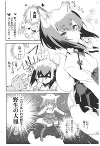 (C92) [Kamishiki (Kamizuki Shiki)] Taihou Collection (Kantai Collection -KanColle-)