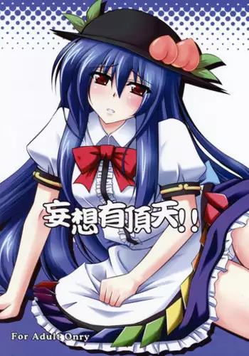 (C74) [Dokomademo Aoi Sora ni Ukabu Niku (Nikusoukyuu)] Mousou Uchouten!! (Touhou Project)