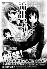 COMIC Megastore-H 2011-01