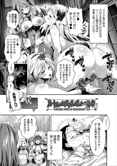 Harem Maid No Damedame Ecchi