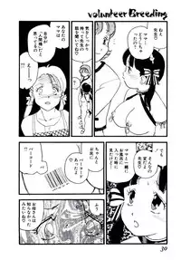 [Kaimeiji Yu] Volunteer Breeding