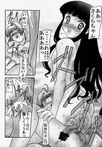 (SC8) [Parameter (S Parameter)] Card (Cardcaptor Sakura)