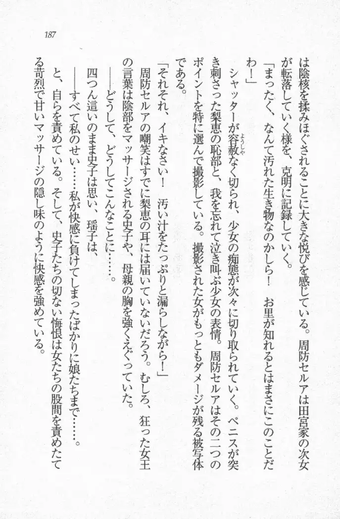 メイド喫茶　猫の隠れ家