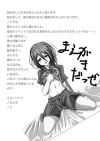 [ノエルヴ] 稲妻入れ2