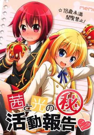 茜と光のマル秘活動報告