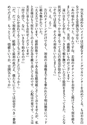 年上メイドの新婚日記