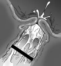 [Benichigaya] トロあな～武闘家さんの熱烈愛玩調教～プラス