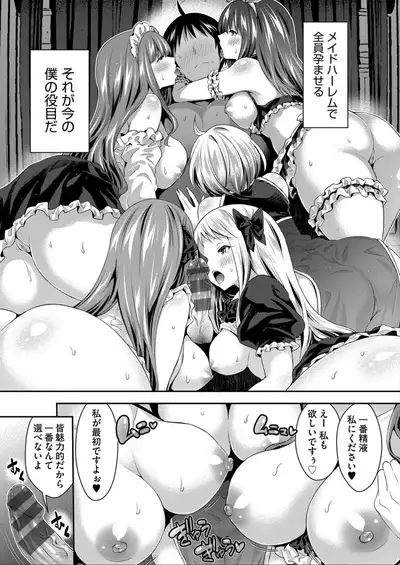 Harem Maid No Damedame Ecchi
