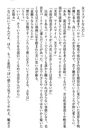 年上メイドの新婚日記