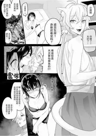 Maboroshi no matatabizoku tokusei nurigusuri de gedoku chiryo | 幻之木天蓼仙狸族 特性涂药 解毒治疗