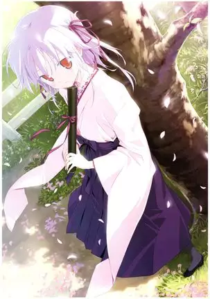 八宝備仁画集 紅蝶（ほてり）