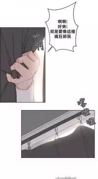 私生，爱到疯狂 完结