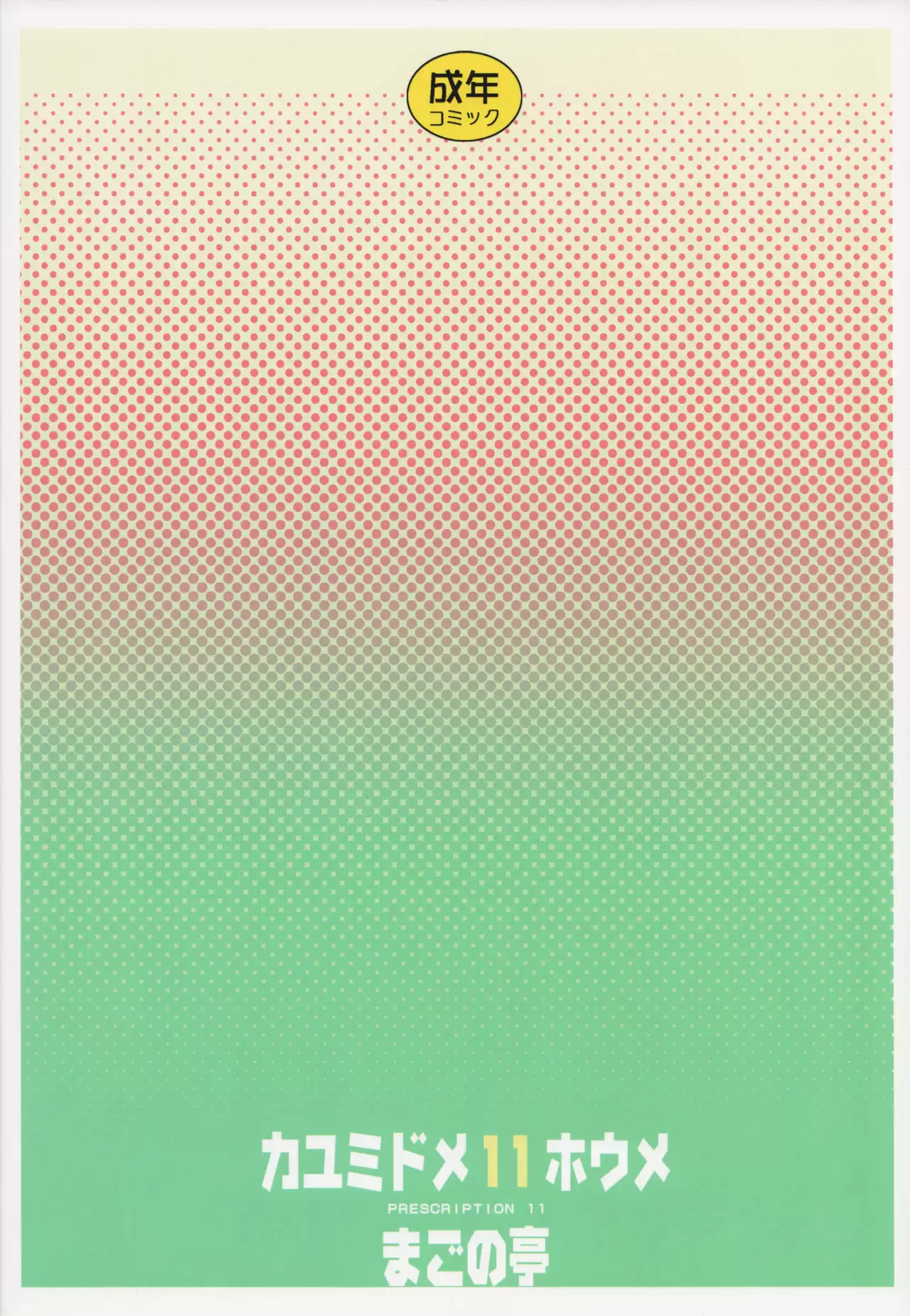 Kayumidome 11 Houme - Prescription 11