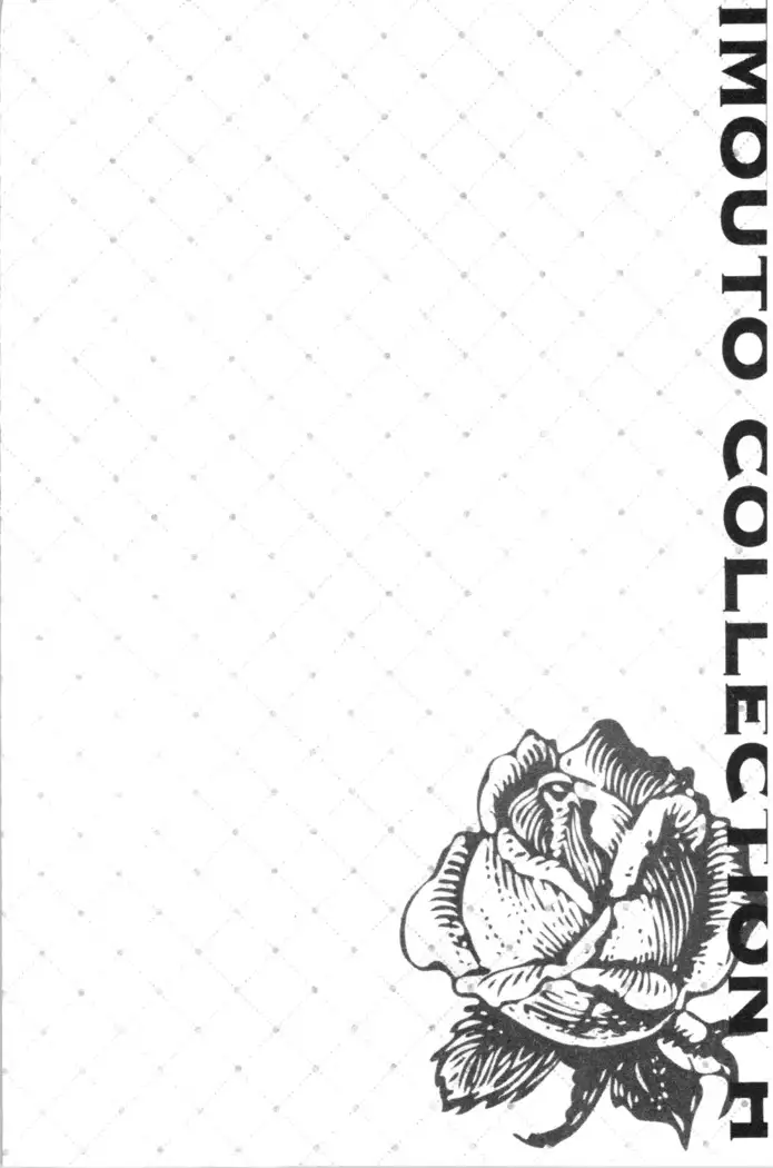 いもうとコレクションH