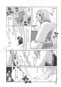 [Mizushima Sorahiko] Wild Strawberry