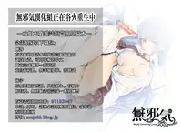 (C89) [H.B.A (Usagi Nagomu)] Ai Midarete [Chinese] [無邪気漢化組]