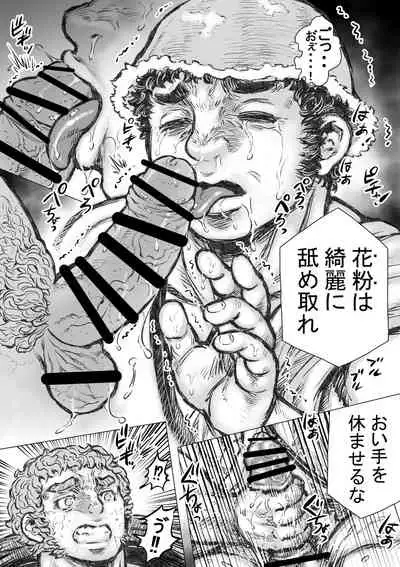 ゴルゴーンの庭弄り