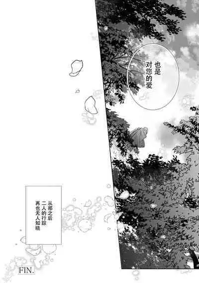 Minarai goei kishi to ōjo no himegoto | 见习护卫骑士和王女的秘事