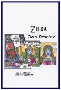 Zelda Twin Destiny (passage) ENGLISH