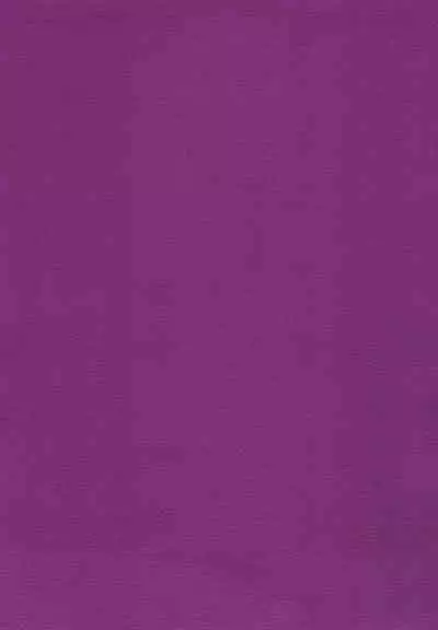 Mou Koi nante Shinai!