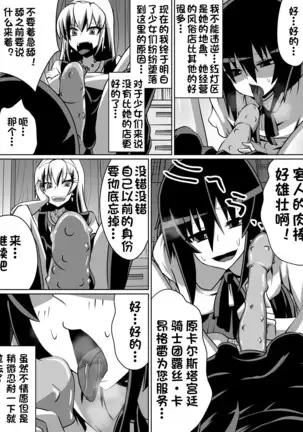 片腕の騎士ルシュカ本編