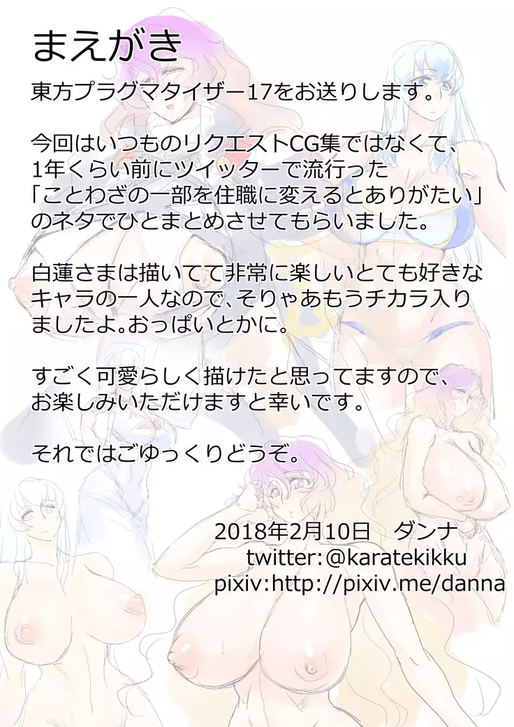 Touhou Pragmatizer 17