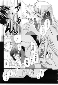 [Iwama Yoshiki] Cherry Blossom