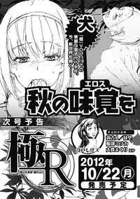Bishoujo Kakumei KIWAME Road 2012-10 Vol.3 [Digital]