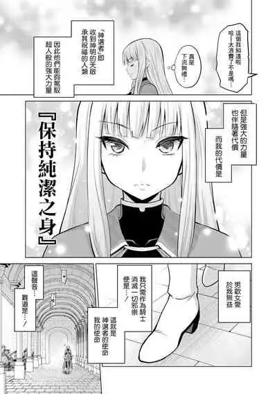 Shojo Kishi Seraphina | Maiden Knight Seraphina