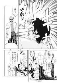 [Iwama Yoshiki] Cherry Blossom