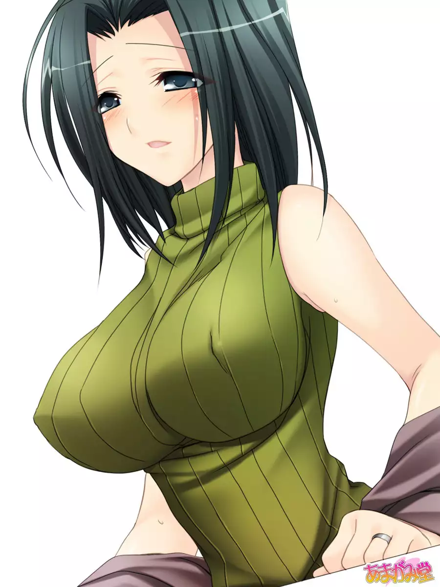 人妻の理沙子さん 第 1~4 話