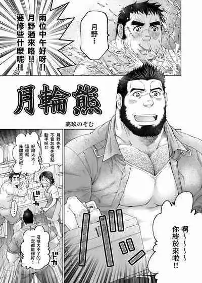 Tsukinowaguma｜月輪熊