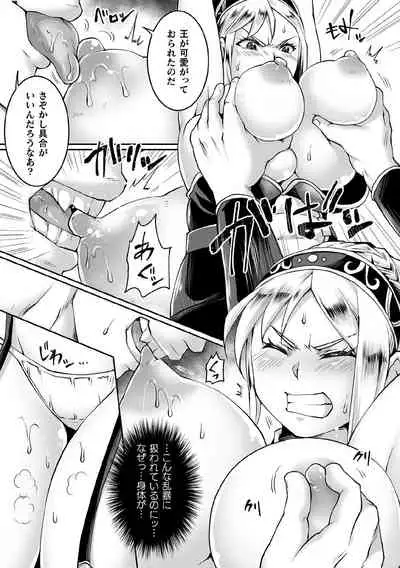 Kukkoro Heroines Vol. 11