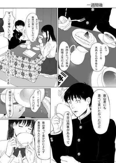 Seijun Kanojo no Houkai