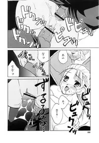 [Iwama Yoshiki] Cherry Blossom