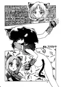 [ネコミミ団(.30-06)] CAZA MAYOR 2