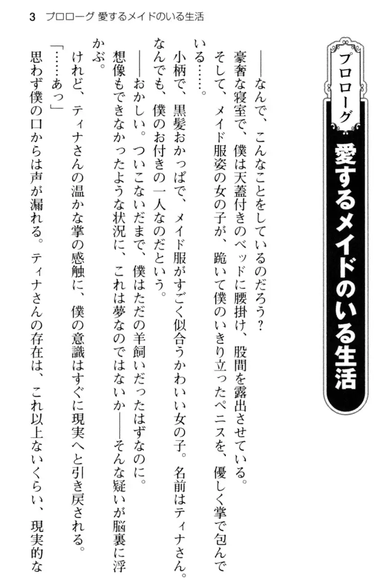 王宮メイドとハーレム計画