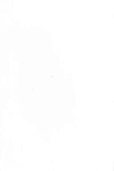 (C99) [Yamitsuki Honpo (Wise Speak)] Ryousai Oneshota Tamamo-chan (Fate/EXTRA)