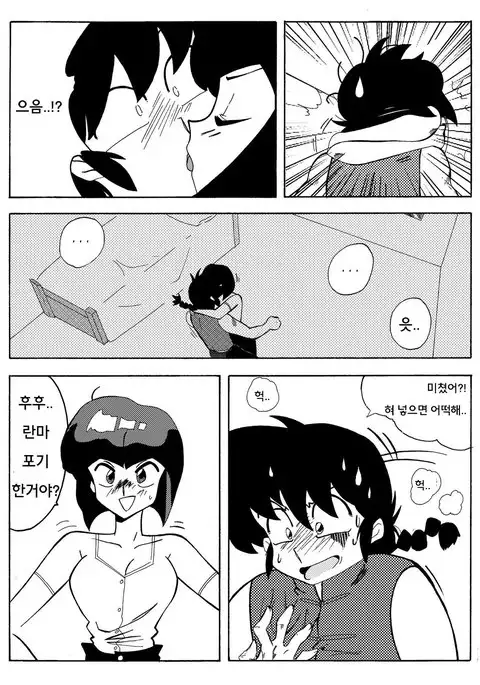 らんまの試み