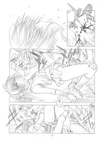 (C67)[UROBOROS] Hanafubuki (Dead or Alive)