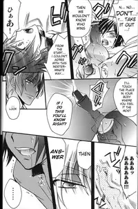 animax r2 (Code Geass)