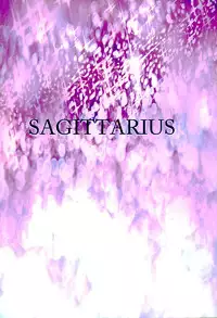 (Fata Grande Kikuusai 2) [Sagittarius (Shown)] Anal・Maiden (Granblue Fantasy)