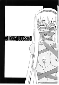 [Iwama Yoshiki] Cherry Blossom